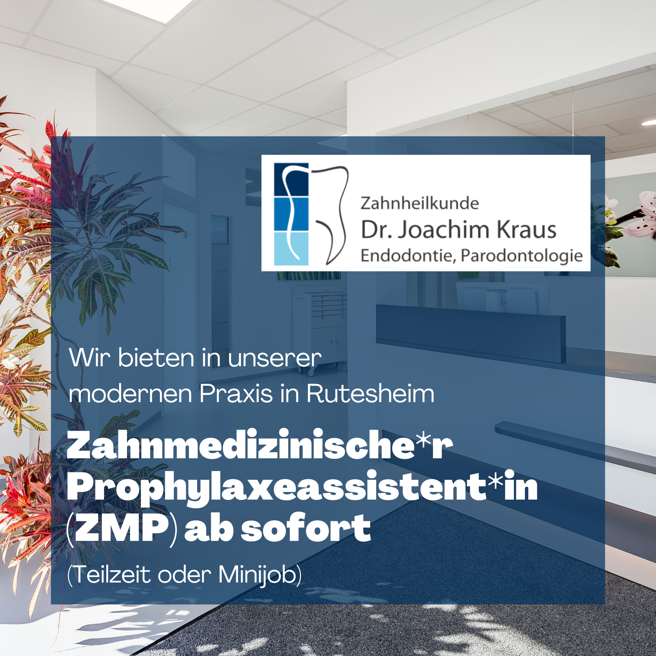 ZMP Stellenanzeige Dr. Kraus Rutesheim